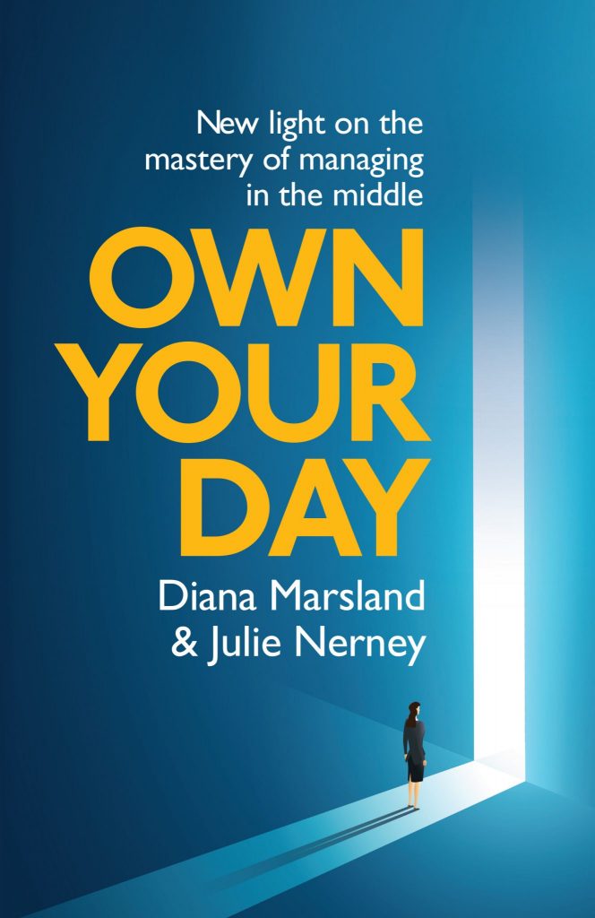 Here is the front cover of a blue and yellow book, with a cartoon person walking through a gap. The book is called 'Own your day' by authors Diana Marsland and Julie Nerney.